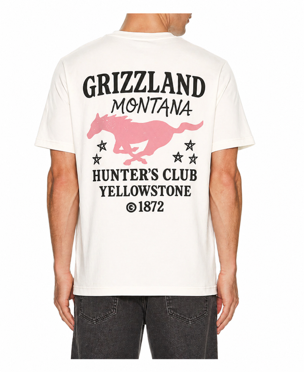 Montana horse tee