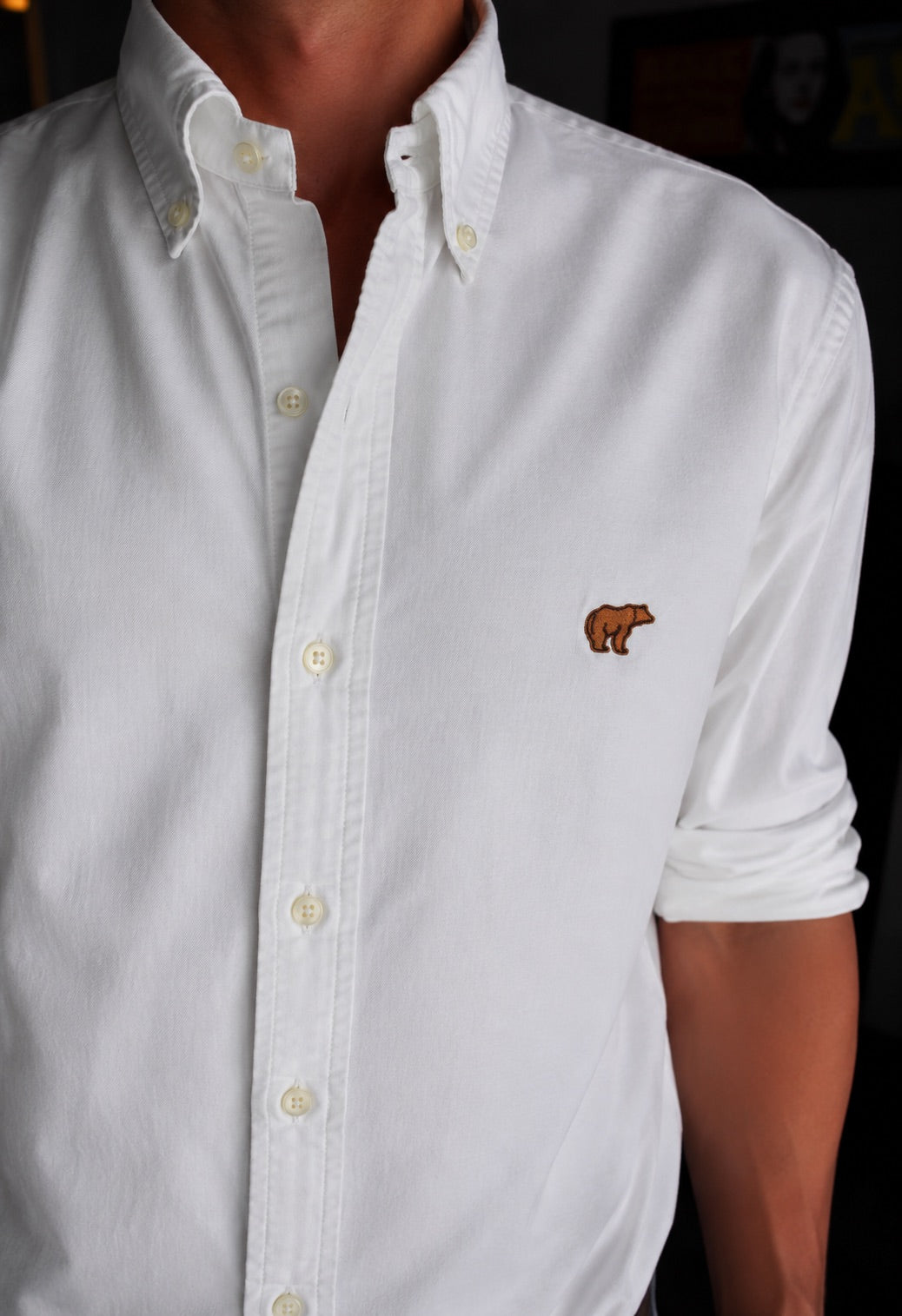 Camisa Oxford bordada